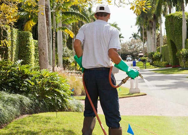 About Simpson WV Pest Control